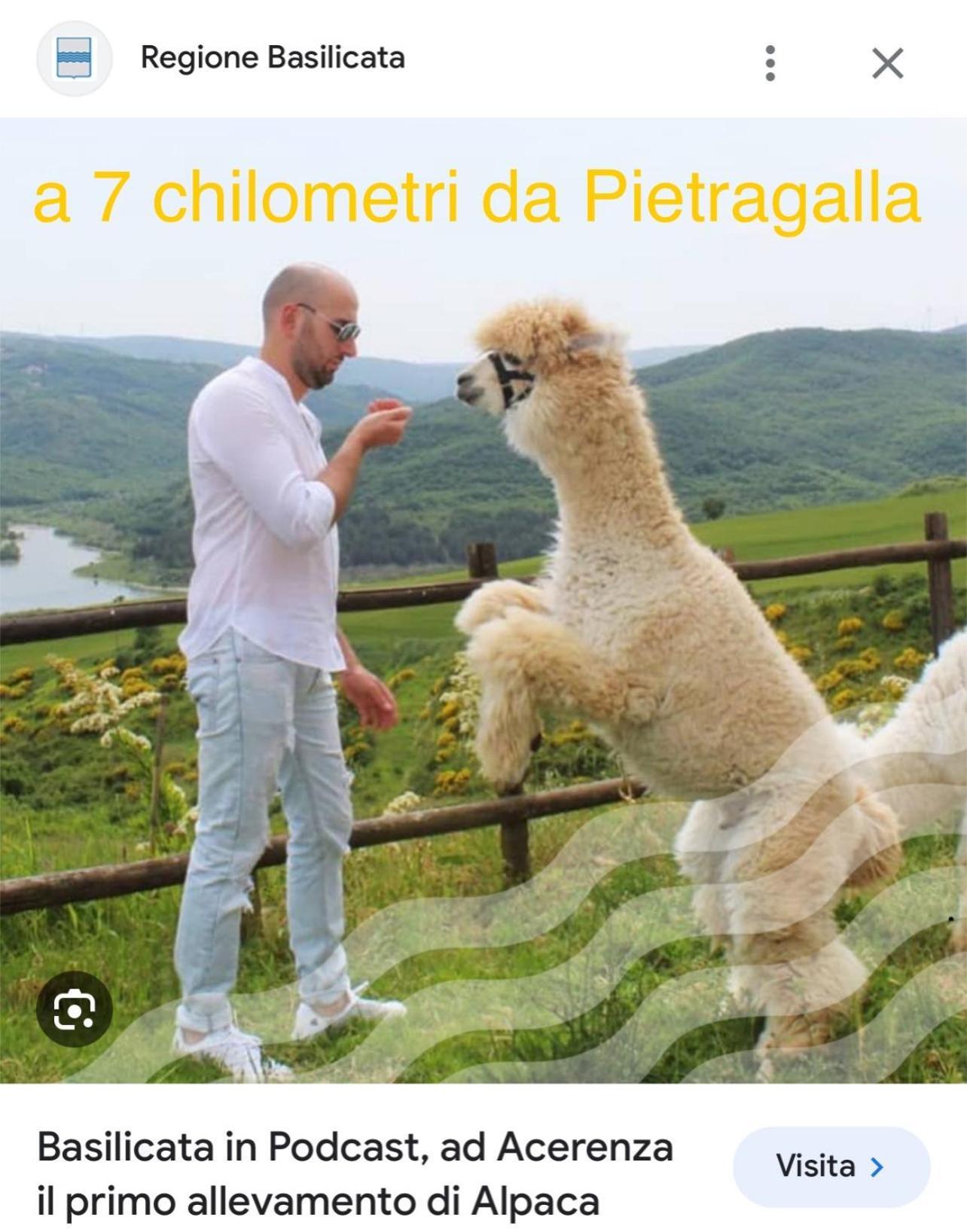 La Casa Dell'Artista Di Vittorio Vertone Pietragalla Экстерьер фото