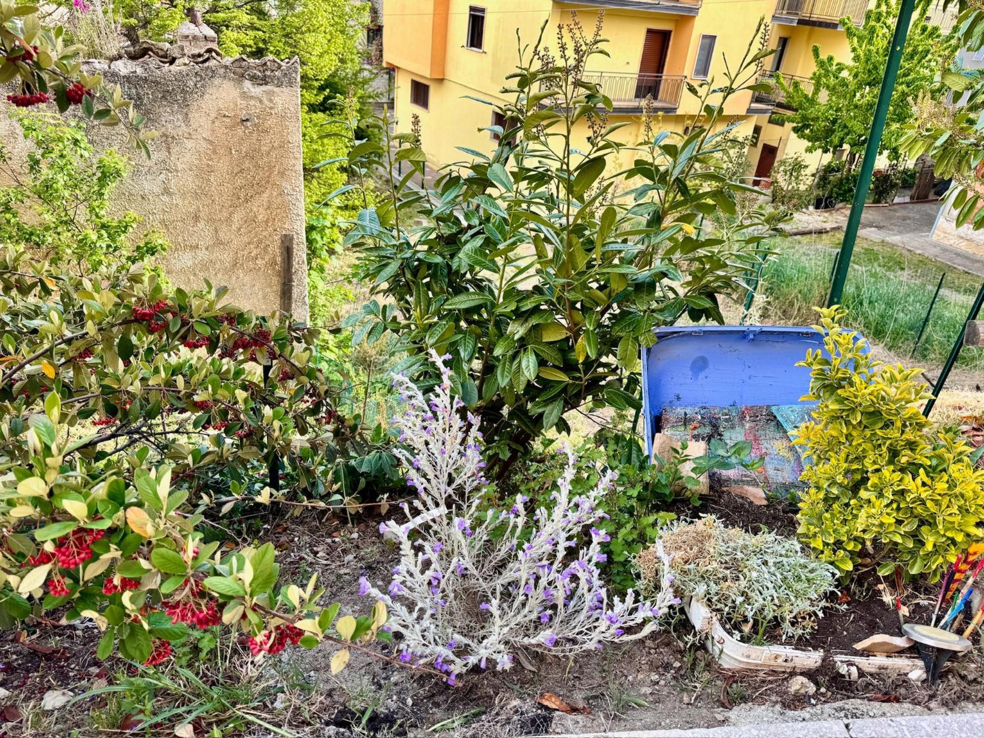 La Casa Dell'Artista Di Vittorio Vertone Pietragalla Экстерьер фото